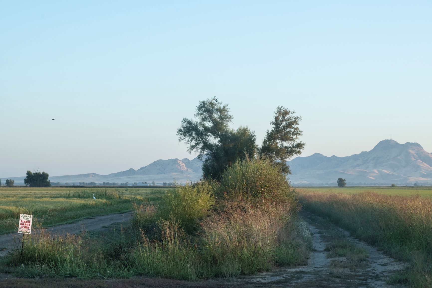 Farm-Bureau-Park-FArming-Organics