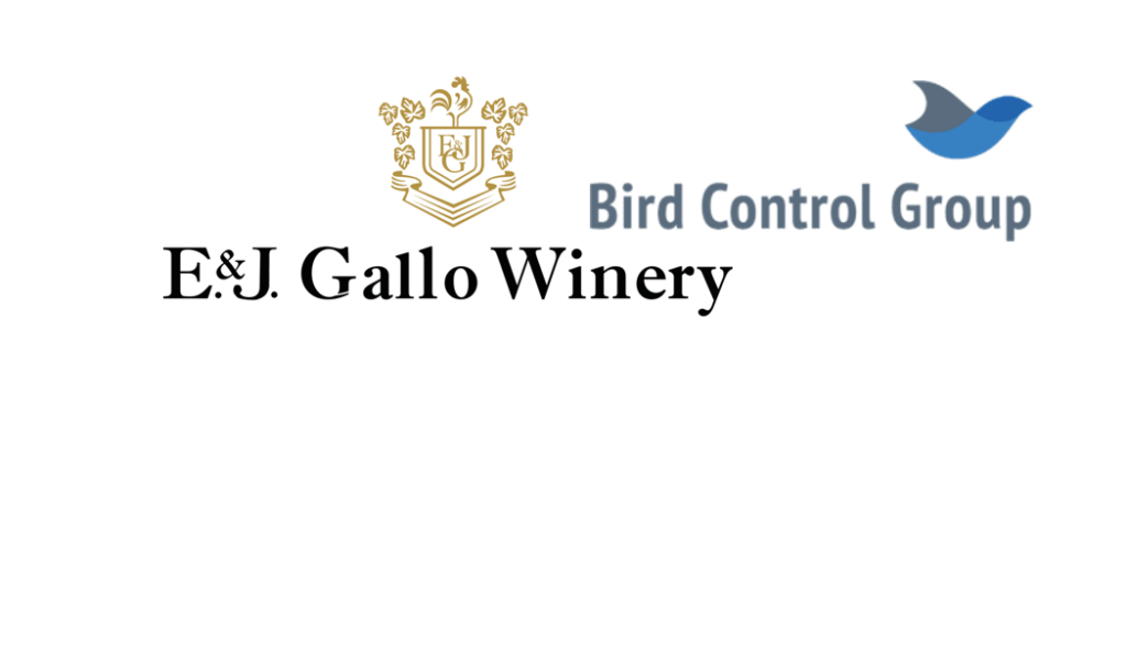 For sustainability, Gallo implements laser bird deterrent technology