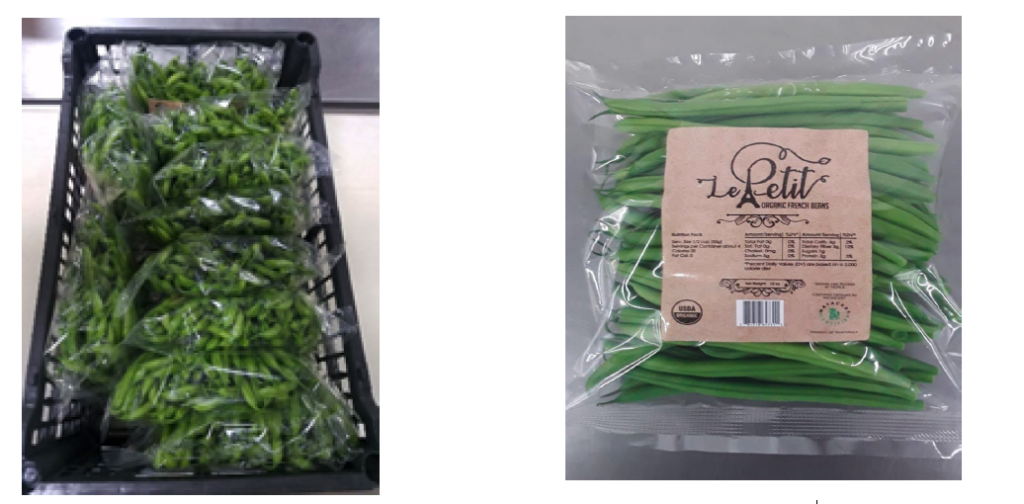 A & A Organic Farms importing organic French beans from Guatemala