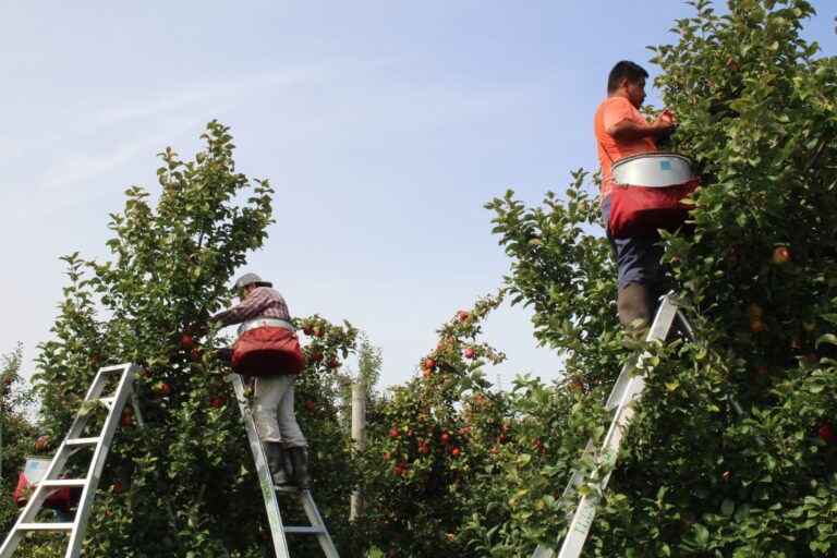 Michigan lawmakers ask DHS to reconsider H-2A fee increases