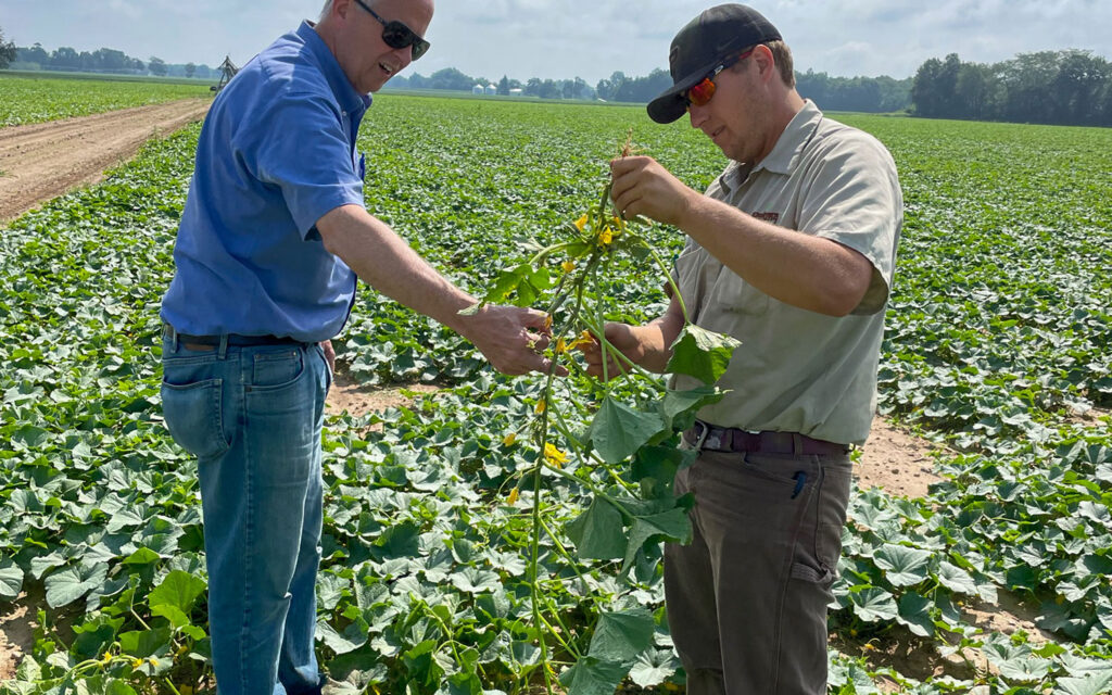 Cucumber powerhouse tests organics