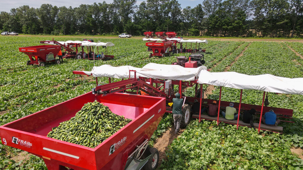 Wisconsin seeks nominations for Organic Advisory Council seats by April 15