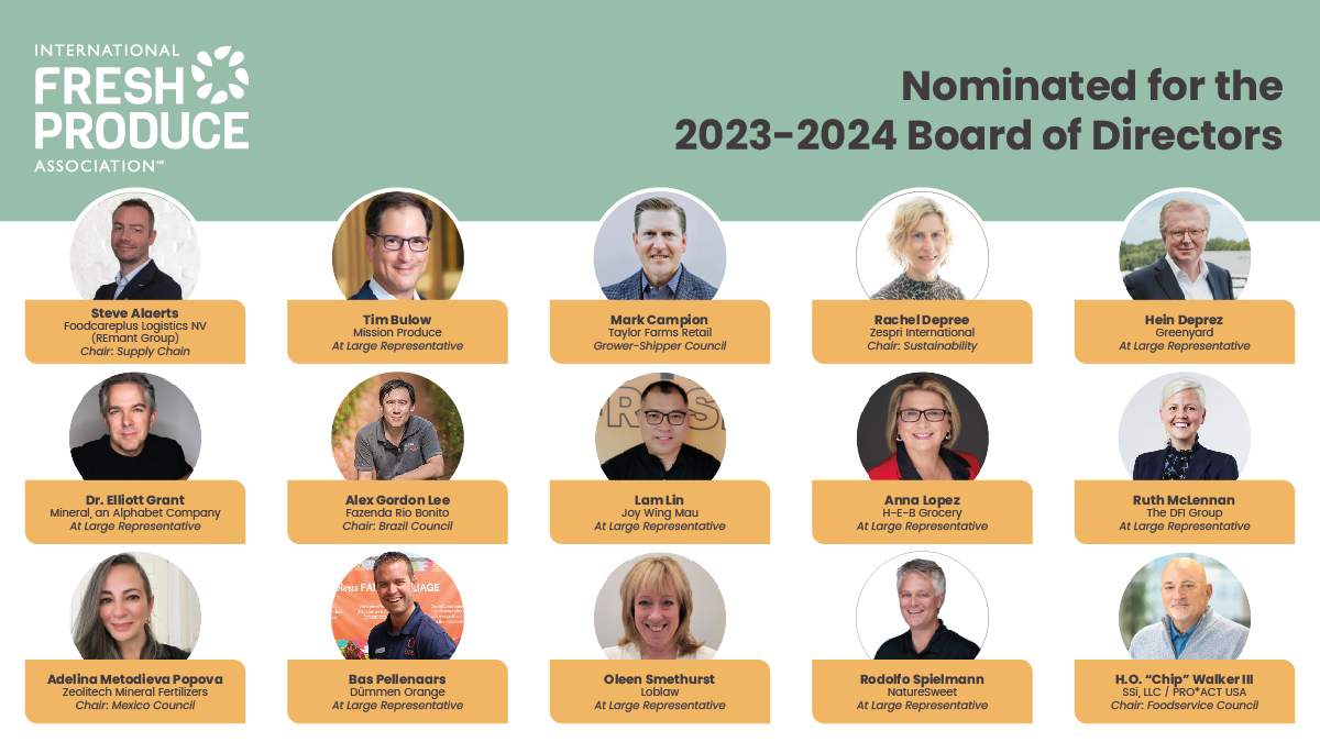 IFPA-2023-24-board