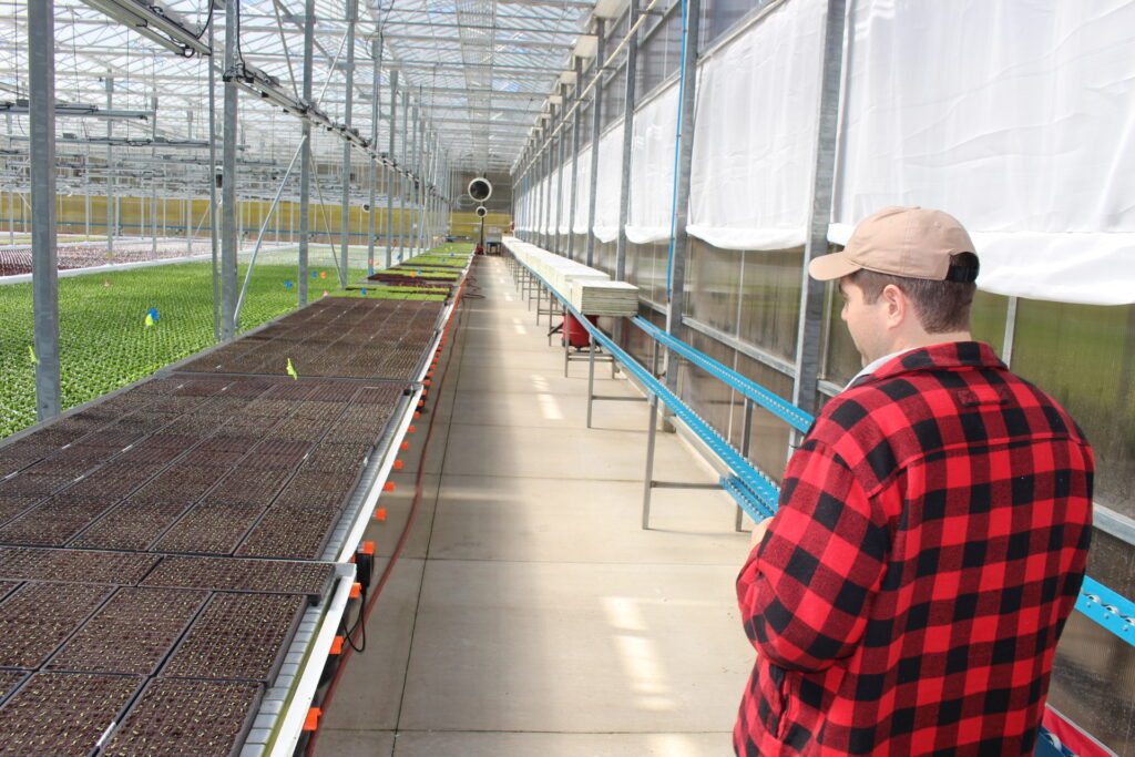 Edible Garden’s organic greens to hit 250+ Meijer stores