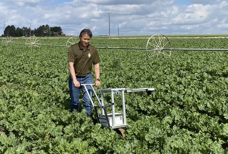 University of Idaho researchers aiding in development of solar-powered weeding robot