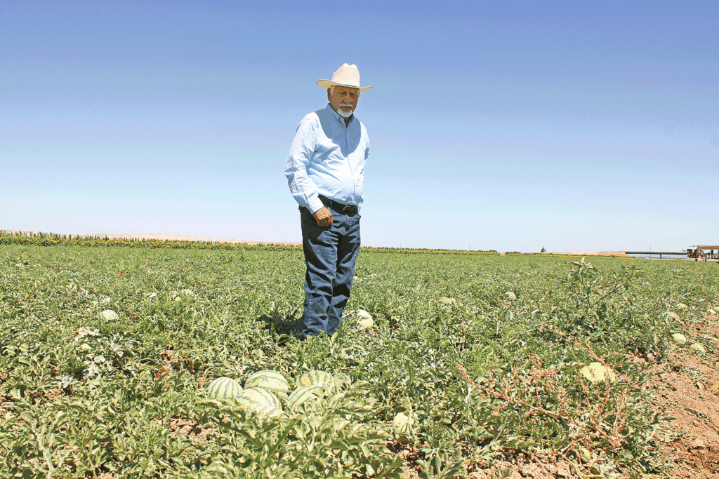 Melon growers applaud California crop despite tardiness