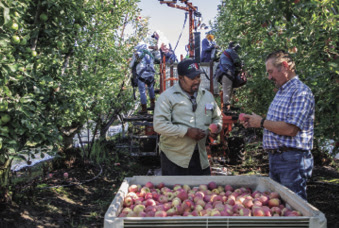 Survey of ag labor impacts led by Farm Bureau, University of California
