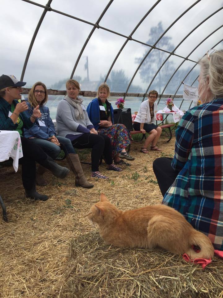 Study finds ‘optimism bias’ of moms on new organic farms