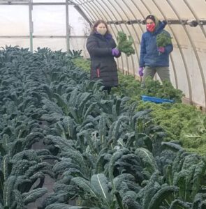 MSU-Organic-Farm