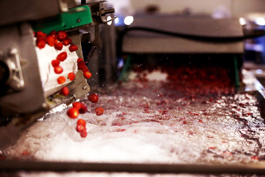 Turkish fruit exporter Mapeks Organics invests in 15-minutes-per-ton optical sorter