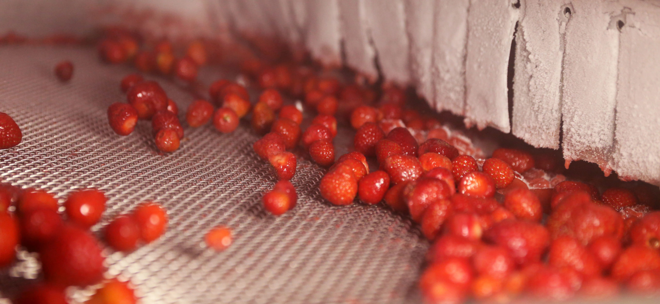 Mapeks Organics_Visula 3