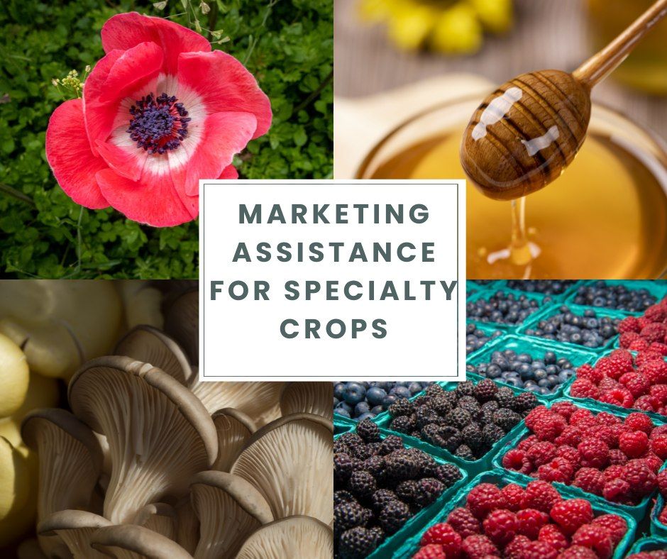 Funding, caps increased for new USDA specialty crop program