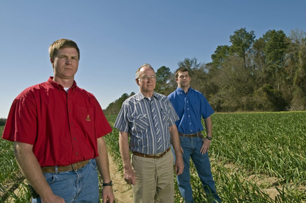 Sweet organic success