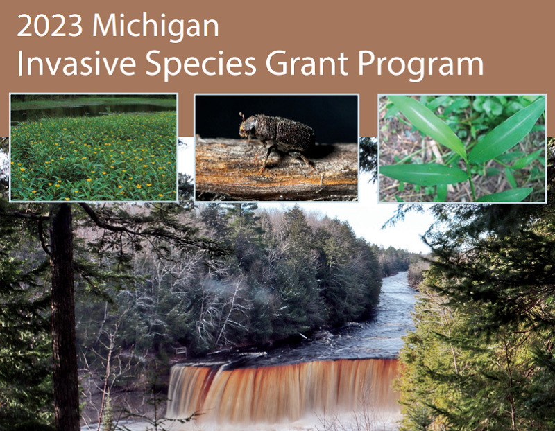 Michigan offers $3.6 million to fight invasive species
