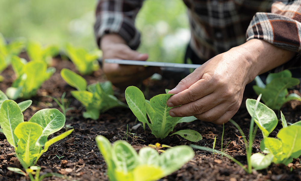 The Good Farmer Award U.S. to honor regenerative organic practices