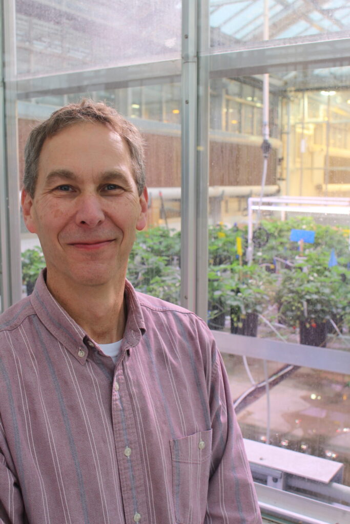 OSU researchers probing new world of biostimulant regulation