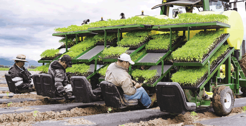 Blue Forest Farms creates a community around the surging industry of organic hemp production