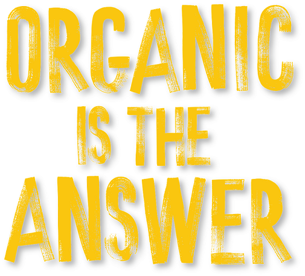 Produce distributor unveils ‘Organic is the Answer’ campaign
