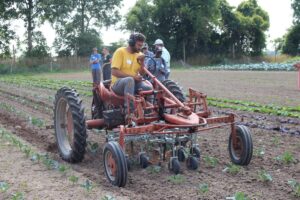 Mechanical advances help target weeds on organic vegetable farms