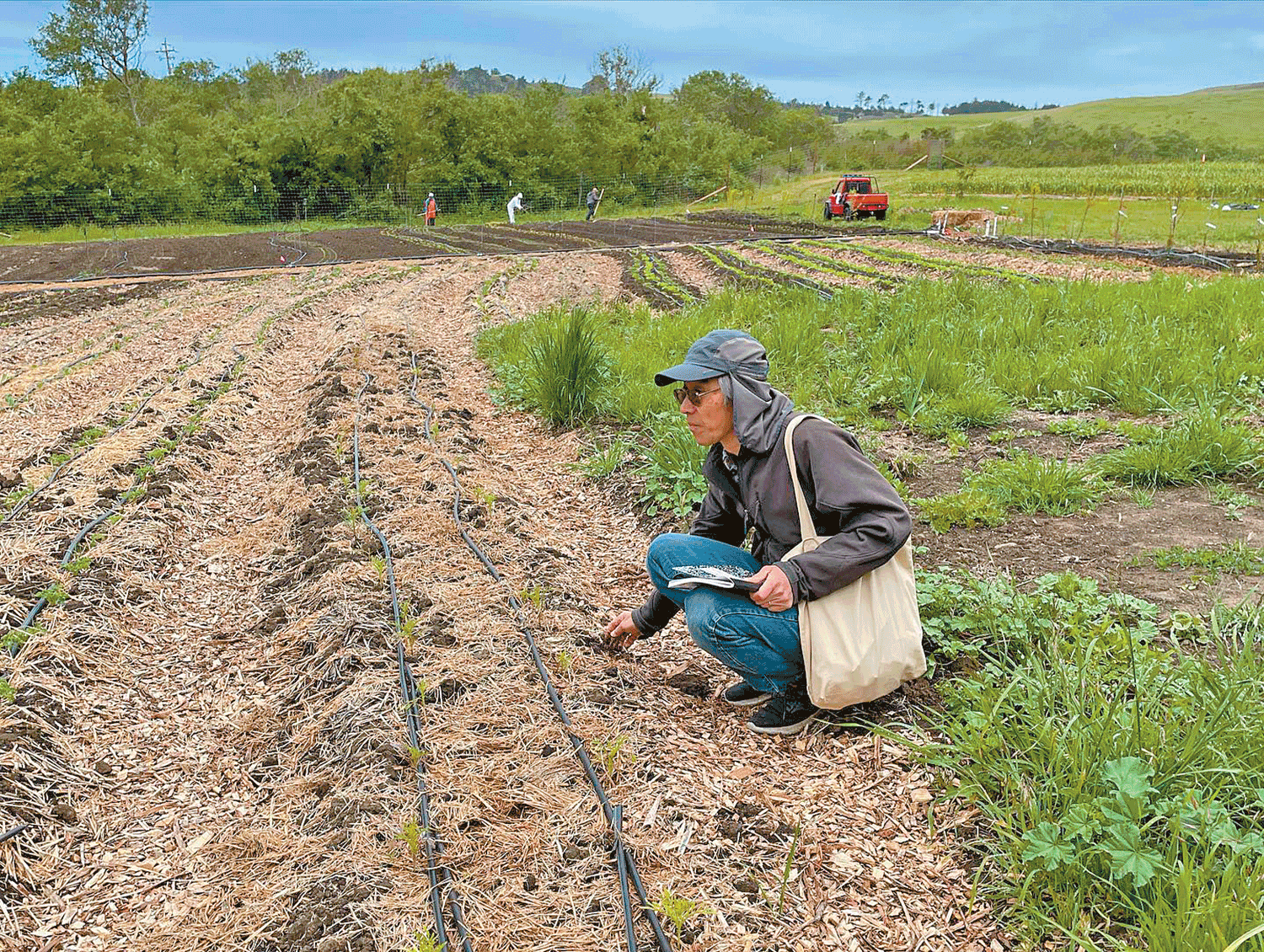 Organic-research-california-farm-bureau