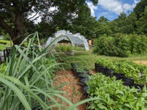 OFRF: 3 farmers talk organic transition wins, challenges