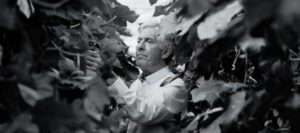 Peter Koppert