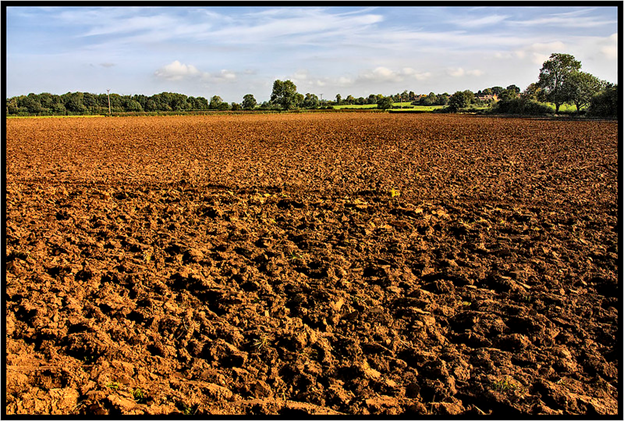 House Ag Committee holds hearing on soil health, regenerative agriculture practices