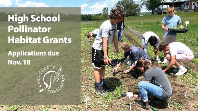 Pollinator grants offered to some Midwestern high schools