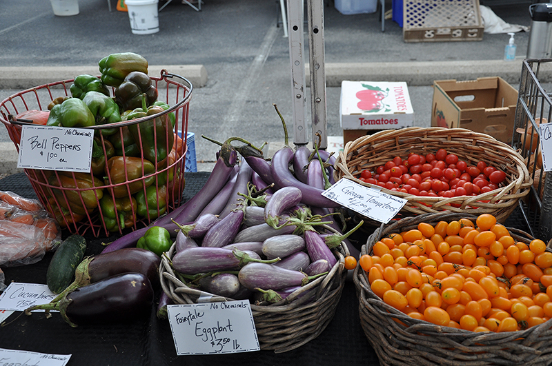 USDA awards grants for local, regional food support