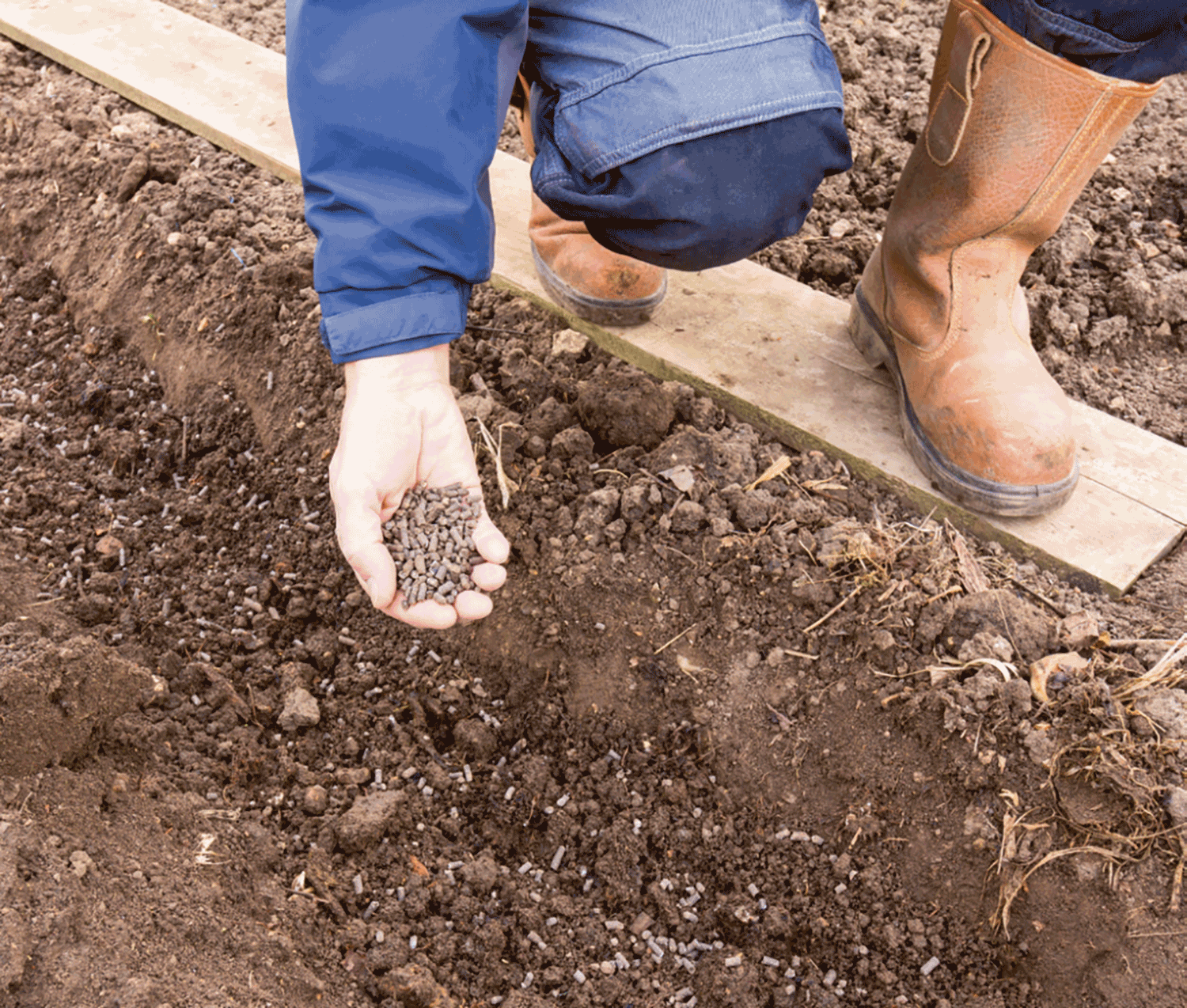 fertilizer example