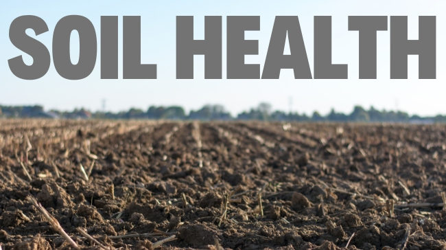 Rodale Institute’s Kutztown farm hosts 2021 Northeast Regional Soil Judging Contest