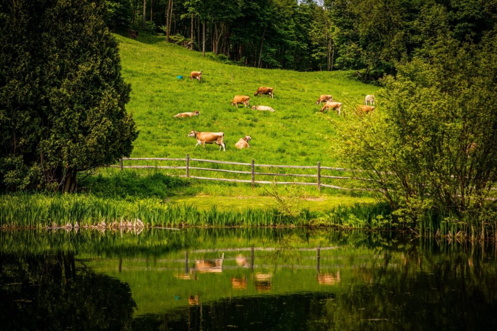 Danone soil health program expands to include 28K organic acres