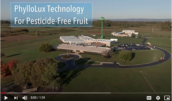 UV technology highlighted as an alternative to pesticides