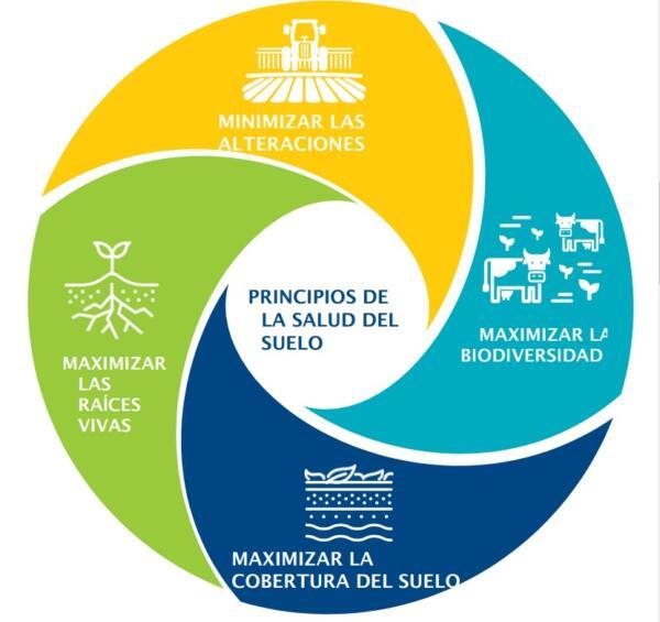 Organic farming group offers soil course in Spanish