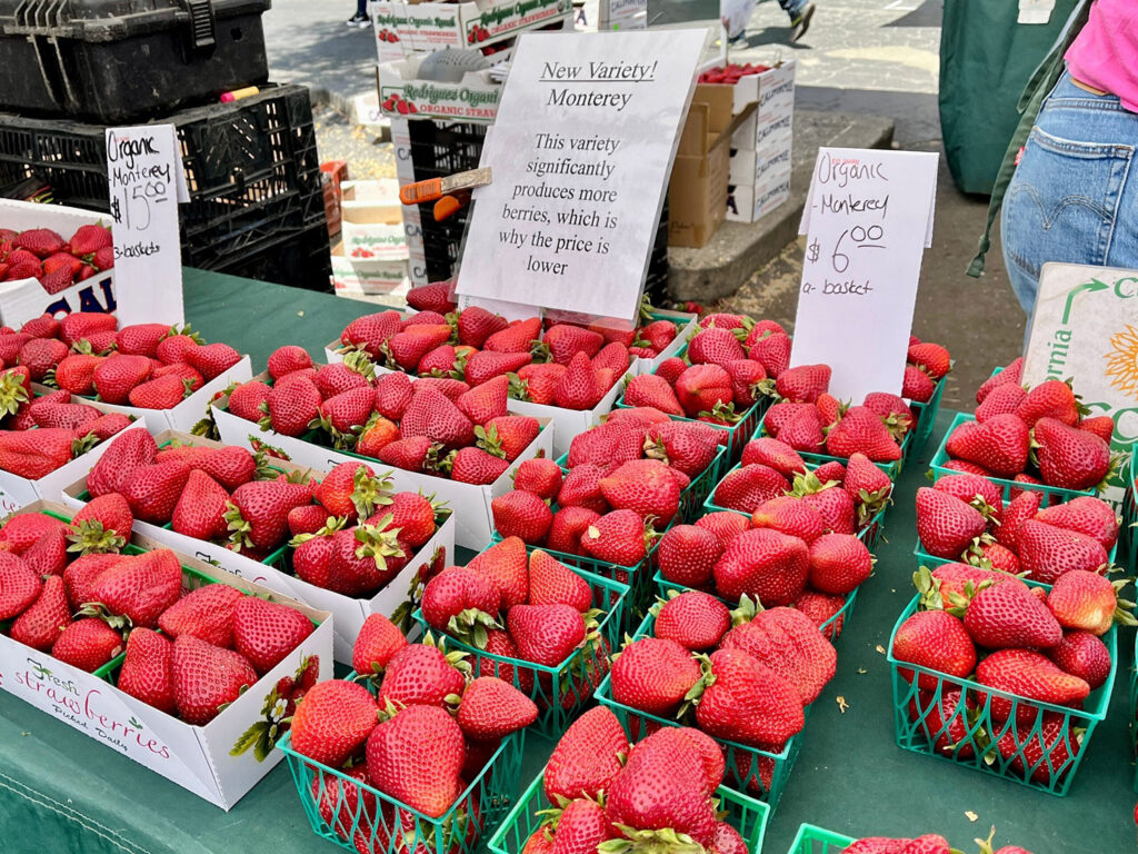 How Farm Markets are adapting pricing strategies and embracing agritourism