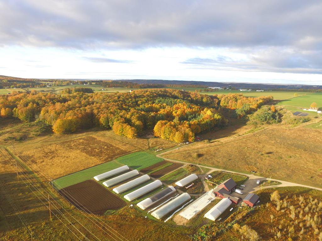 aerial shot