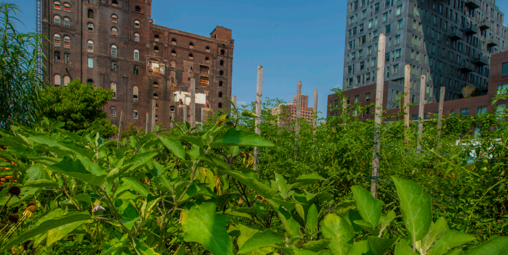 USDA-Urban-Ag
