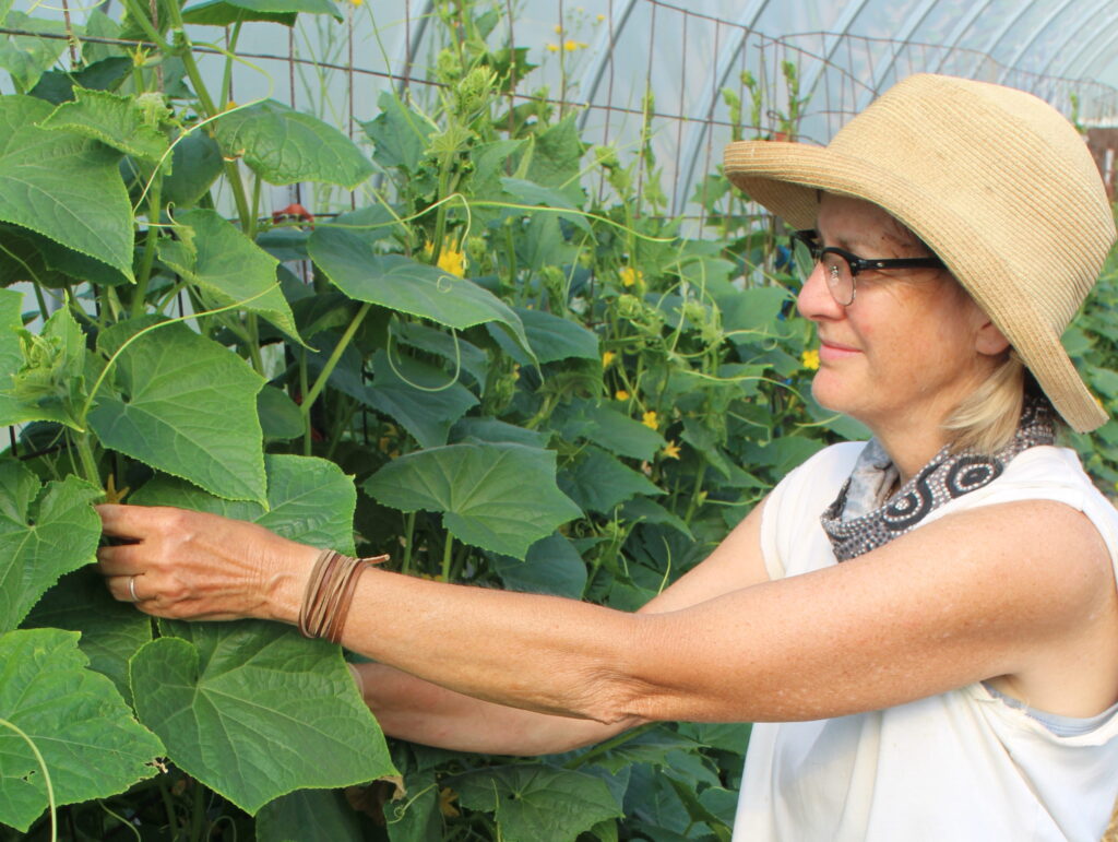 Owosso Organics plans crops carefully, as COVID-19 triples CSA membership