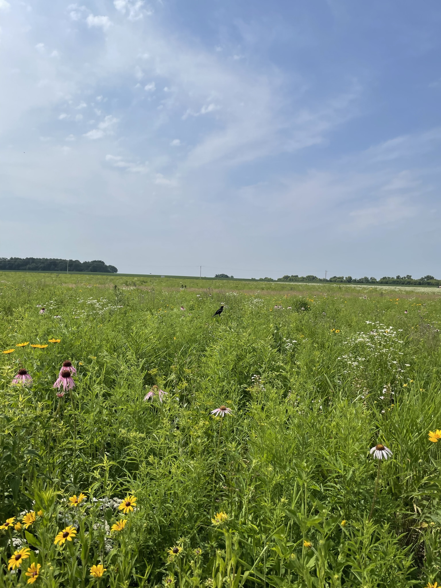 Valent-Prairie-Park