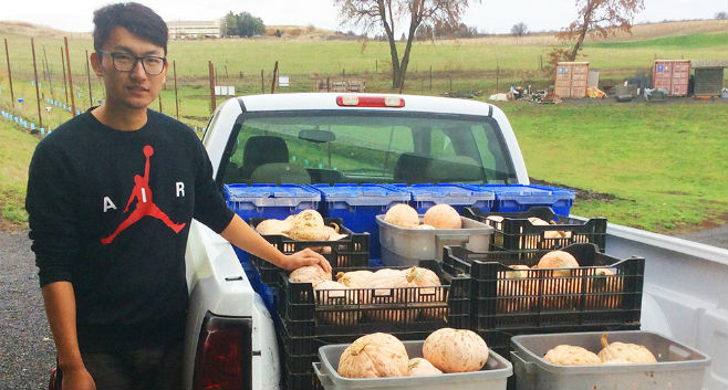 WSU organic farm offers fresh choices to food banks