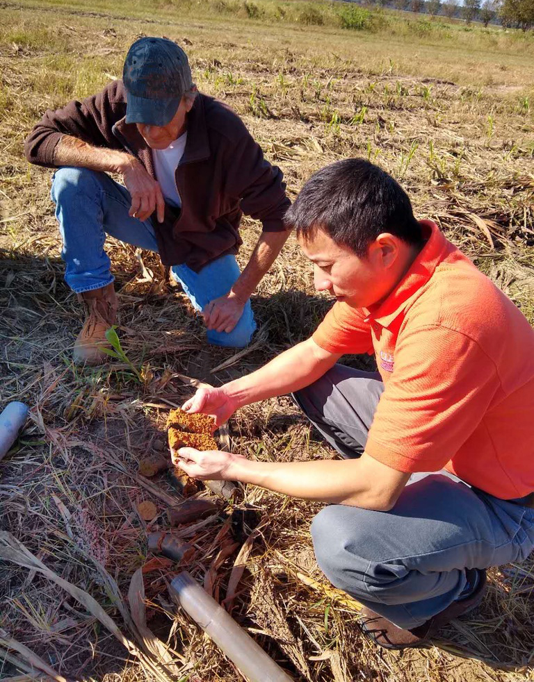 Challenges of organic ag soils researched at Clemson