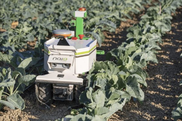 Organic growers weigh in on agricultural robots