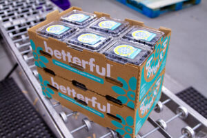 Boxes full of blueberry cartons on a conveyor belt.