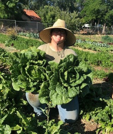 Casey Holland organic farming