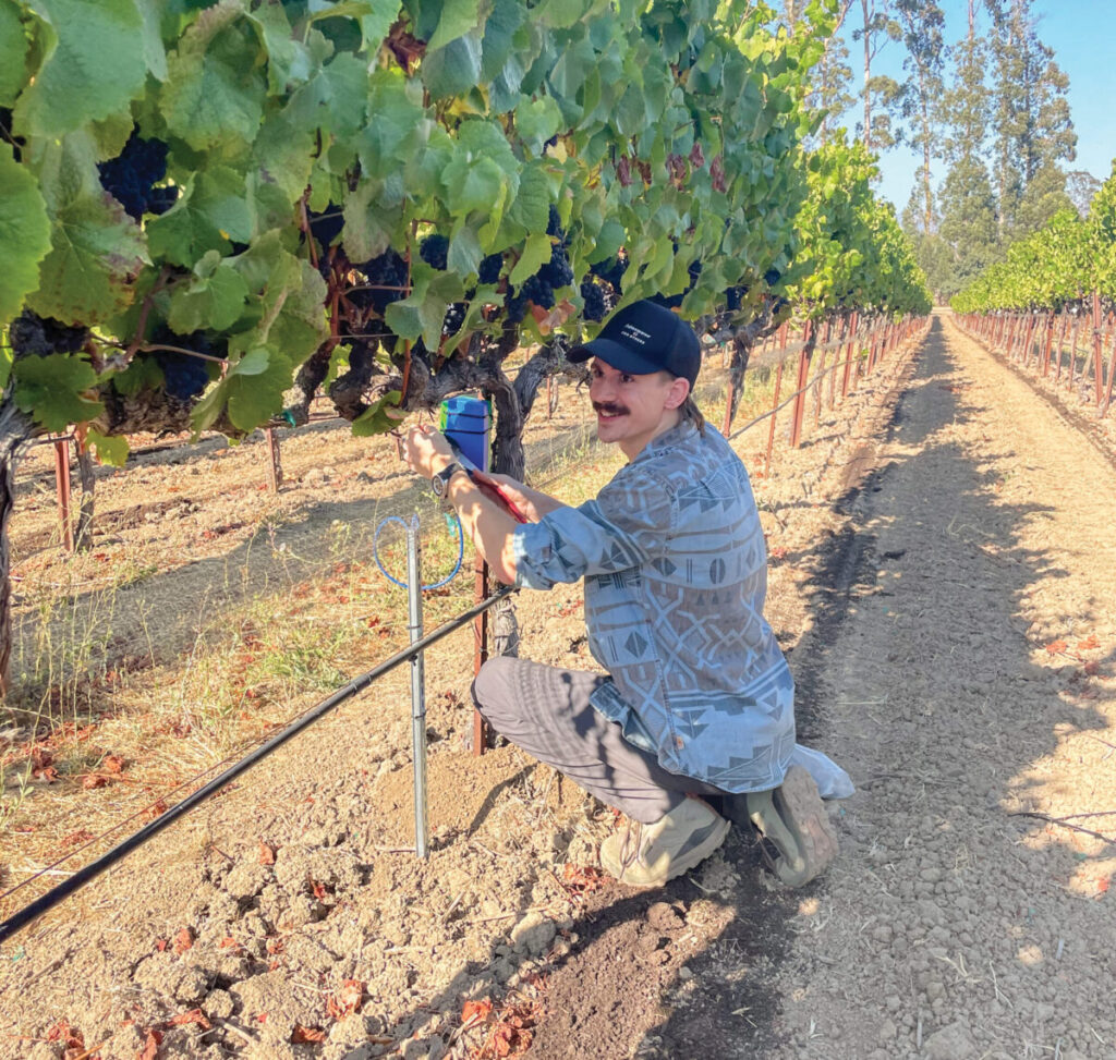In-depth data: New carbon monitoring system digs deep into soil health