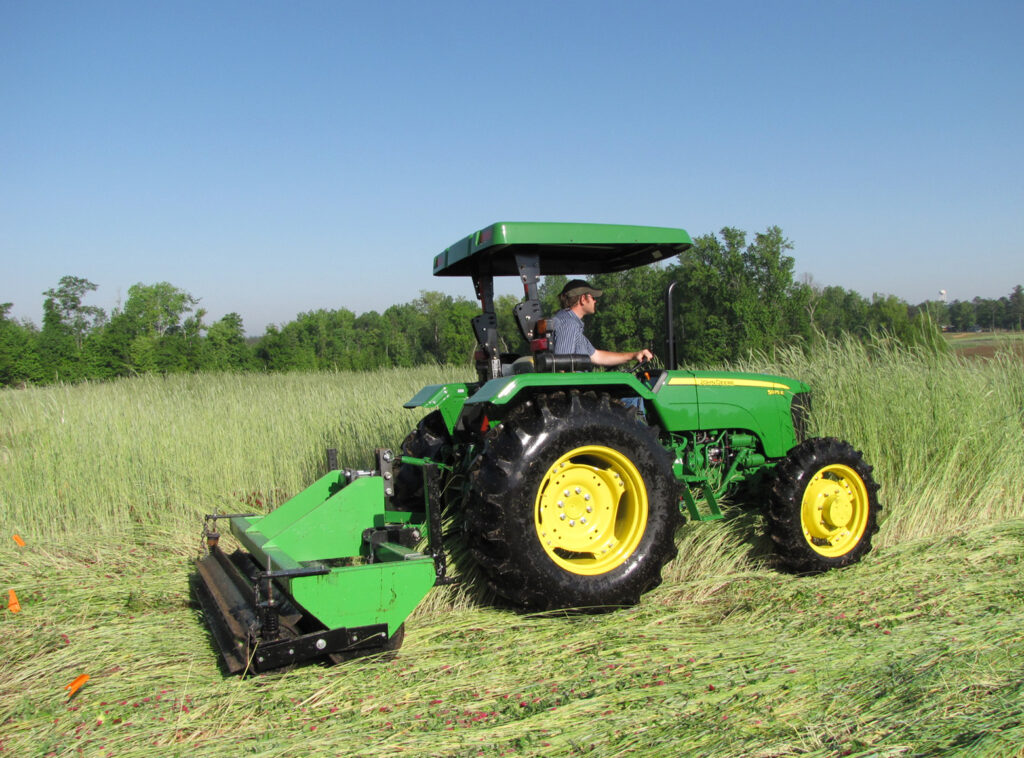 In an experiment at Randle Farms near Auburn, Alabama, technician Corey Kichler operates a two-stage roller/crimper that has a primary drum and a spring-loaded secondary drum with attached equally spaced crimping bars. Photo: USDA/ARS Ted Kornecki