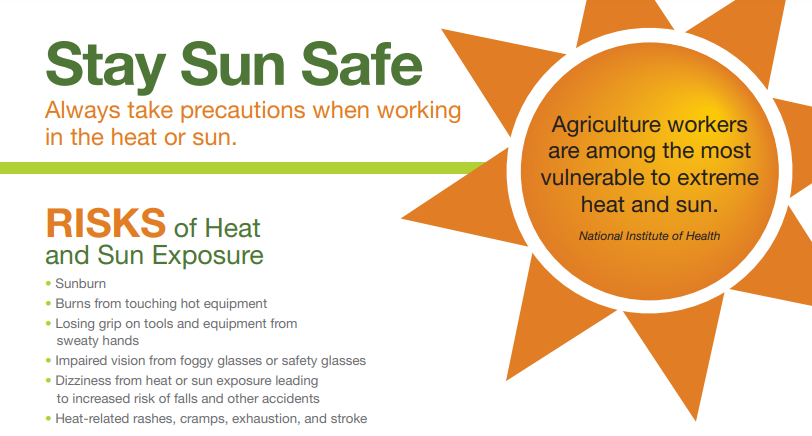 EFI offers tips on dealing with summer heat