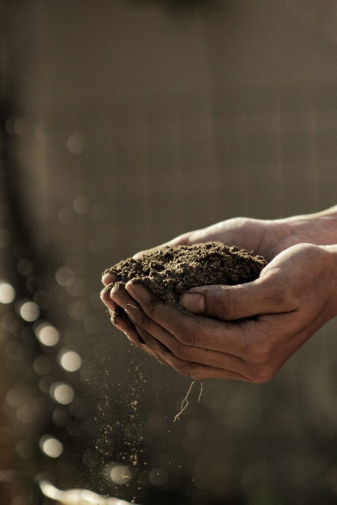 $2.4 million available to programs supporting organic farming