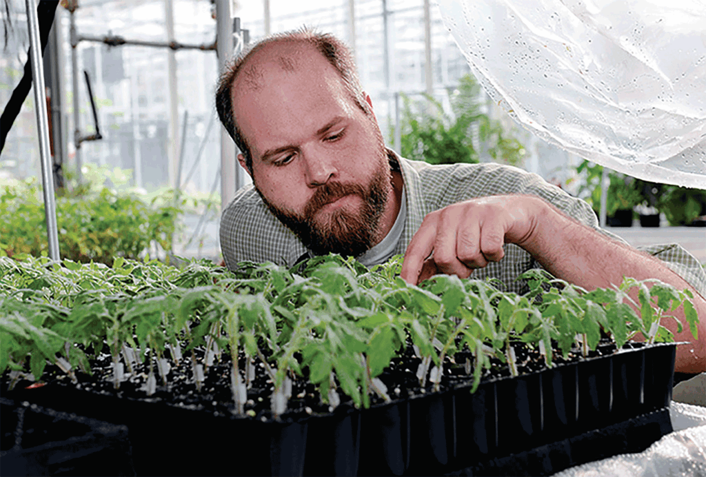 Multiyear rotation in high tunnels curbs soil pathogens