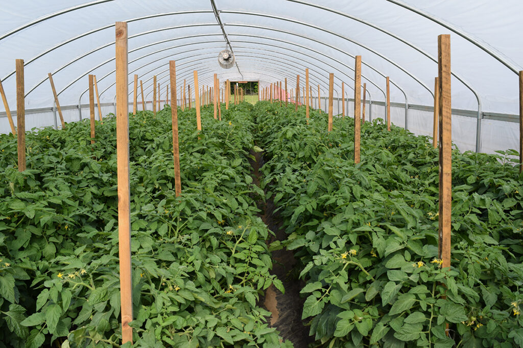 Building soils for organic production